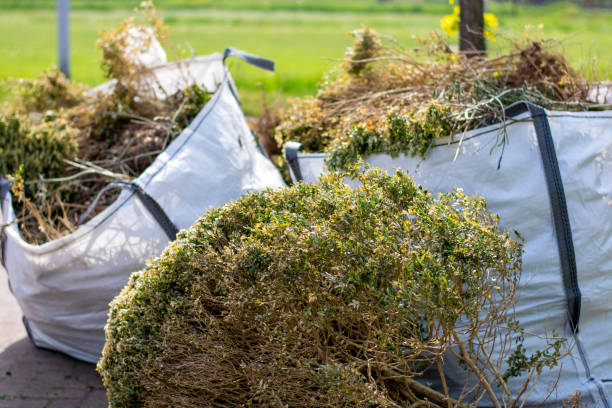 Attic Cleanout Services in Montegut, LA